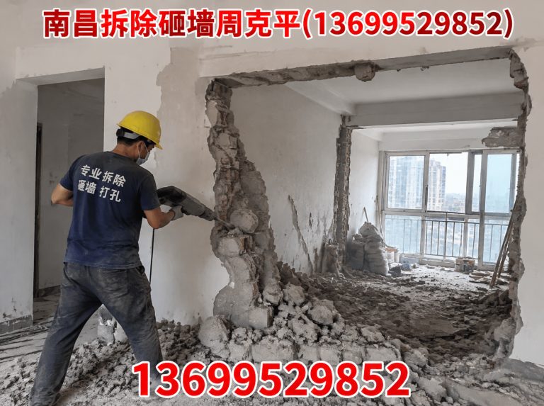 新建区南昌拆除公司展示图